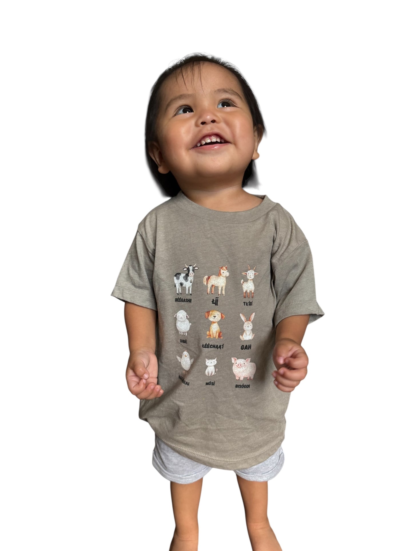 Cute Animal Alphabet Toddler Tee, Kids Animal Print T-Shirt, Toddler Gift, Nursery Decor, Farm Dress-Up