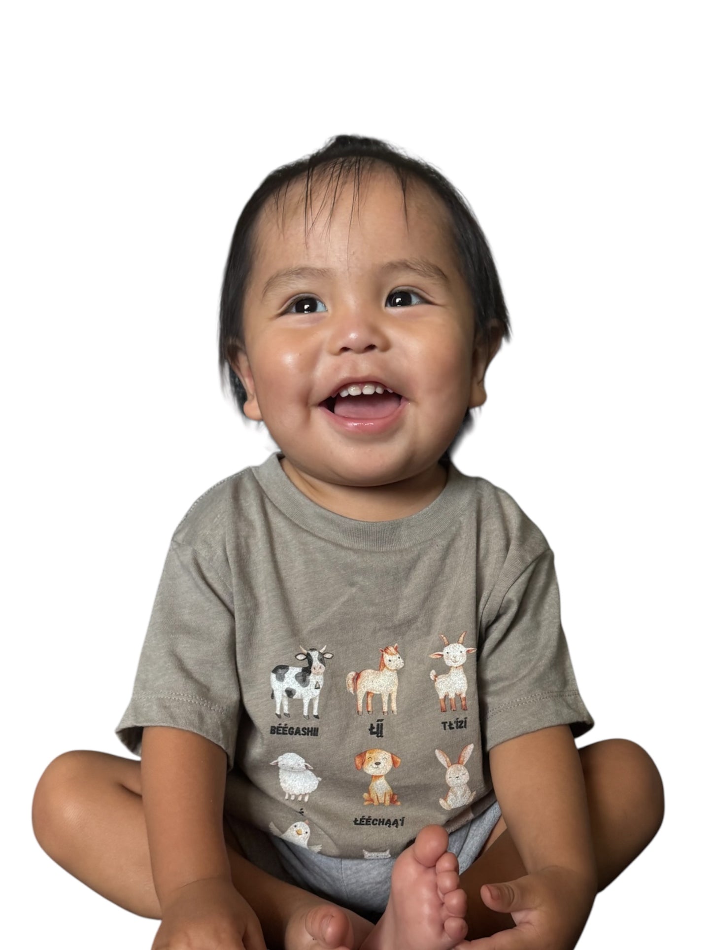 Cute Animal Alphabet Toddler Tee, Kids Animal Print T-Shirt, Toddler Gift, Nursery Decor, Farm Dress-Up