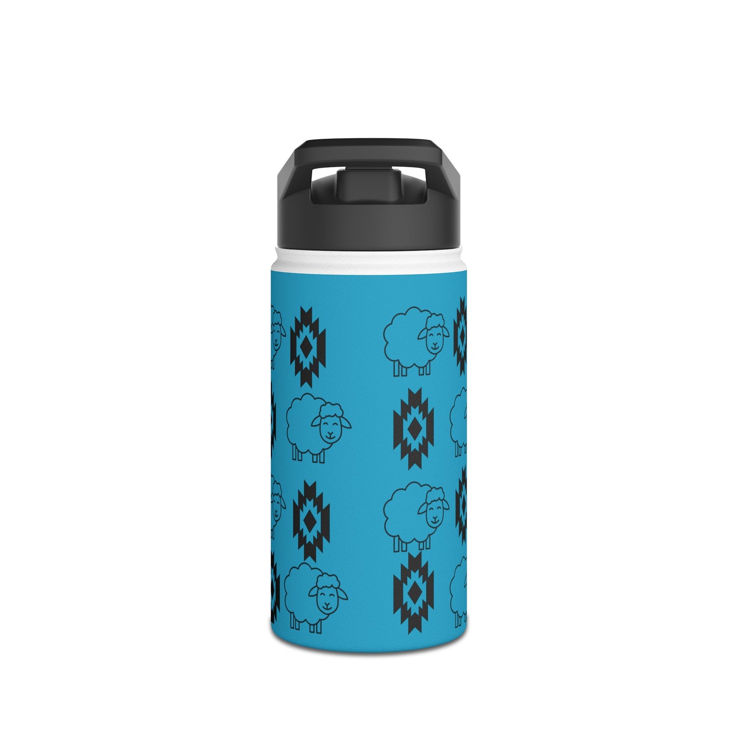 Stainless Steel Water Bottle