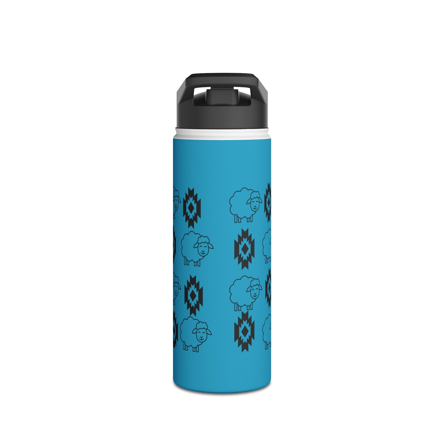 Stainless Steel Water Bottle