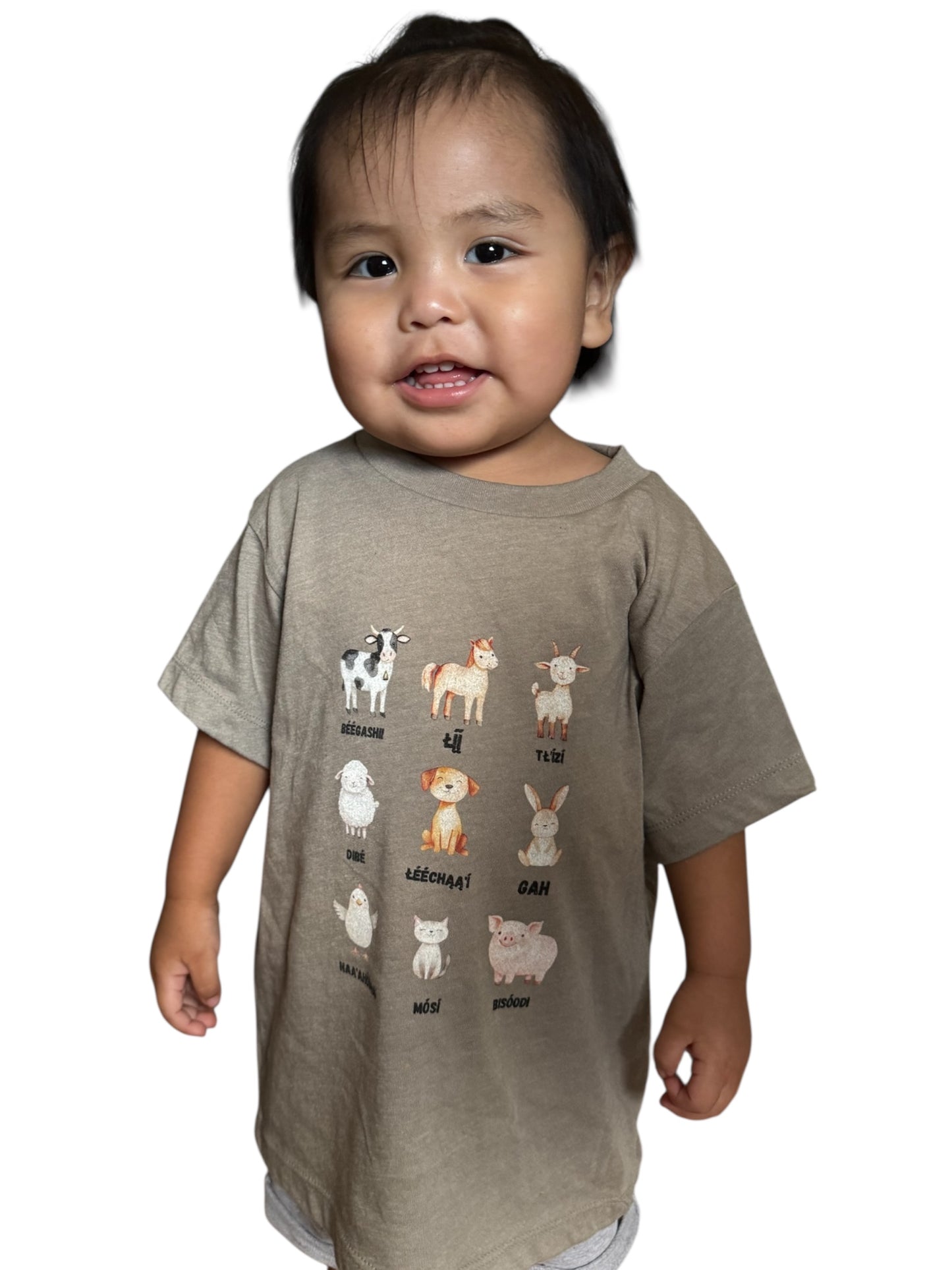 Cute Animal Sounds Kids Tee, Farm Animal Shirt, Playful T-Shirt, Birthday Gift, Cute Graphic Tee